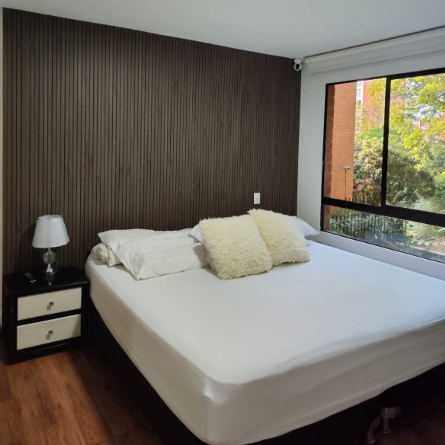 LISCIO CENIZO - Almacora